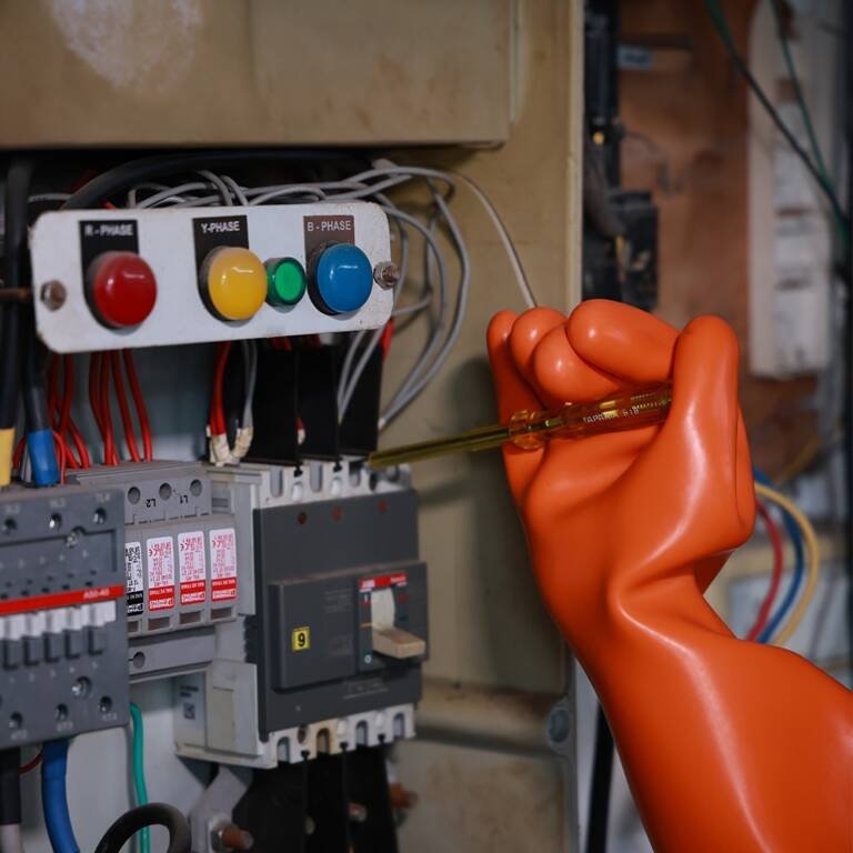 WhatsApp Image 2025-10-09 at 12.35